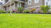 7 tips for planting grass seed to get a greener lawn