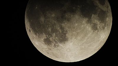 Earth will have a temporary ‘mini moon’ for two months