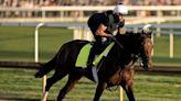 The Kentucky Derby has a couple of early favorites in Fierceness and Sierra Leone