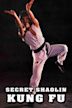 The Secret Shaolin Kung Fu
