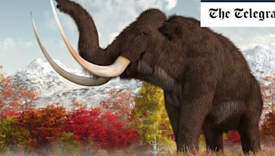 Hay fever may have led to extinction of woolly mammoths