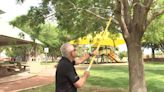 One man, 30,000 trees: Henderson arborist explains maintenance as city grows