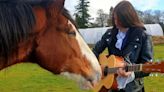 The Scots animal sanctuary where you can book a private tour for less than £40