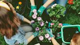 10 fleurs à planter en août pour un beau jardin à la rentrée