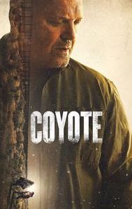 Coyote