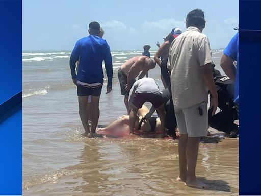 Amarga la fiesta: tiburón muerde a bañista y le causa herida grave