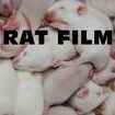 Rat Film