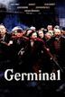 Germinal (1993 film)