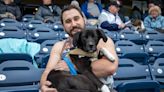 See photos from West Michigan Whitecaps Dog Day game