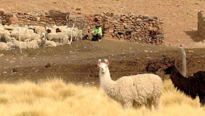 15 destinos junto a la frontera: qué visitar antes o después de salir de Argentina