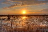 Everglades National Park