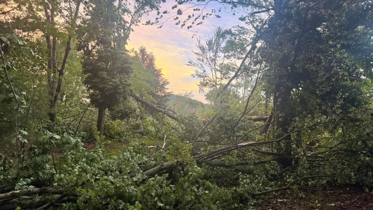 NWS says microburst caused damage in Milford, NH, on Tuesday