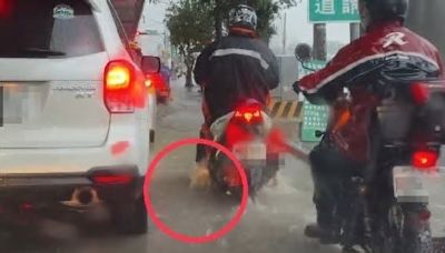 暴雨炸五股新莊！多路段塞車騎士滑水前行