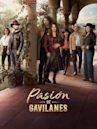 Pasión de gavilanes