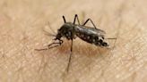 9 test positive for Zika virus in Pune district; tally stands at 48