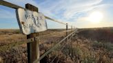 Desertification of Spanish marshlands shows climate crisis has arrived