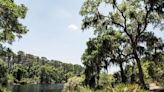 Why You Should Plan A Trip To St. Phillips Island, South Carolina