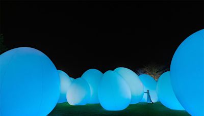 近賞 teamLab 香港戶外展覽：由陸地延伸至海上，一場大自然與人類結合的藝術展覽