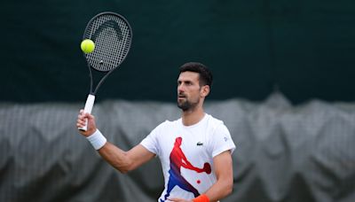 Wimbledon: Novak Djokovic advances to semifinals after Alex de Minaur withdraws due to injury