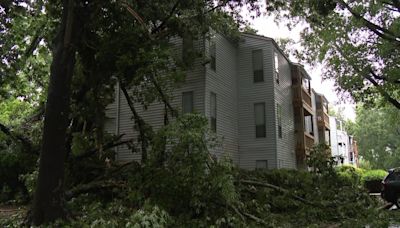 One dead after tree falls on Charlotte apartment building, neighbors say