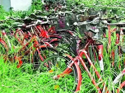 Bengaluru Father-Daughter Pair Arrested for Stealing Over 40 Bicycles | Bengaluru News - Times of India