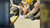 Family dog rescued from Lemoore home engulfed in flames, firefighters say