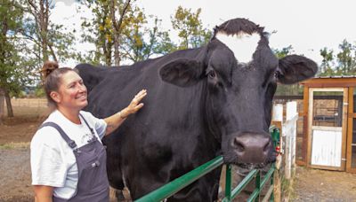 Romeo, the world's tallest steer, inspires a festival in Creswell