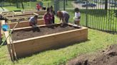 Students team up for "Build a Garden" day at School No. 45