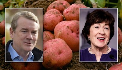 Potatoes retain USDA classification as vegetable, not grain, in bipartisan effort