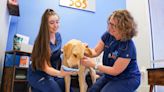 PetVet365 to begin providing veterinary care to Leander, Cedar Park pets