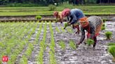 Budget 2024: A bid to woo farmers, or a dry spell? - The Economic Times