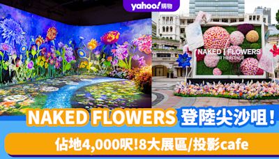 香港好去處｜NAKED FLOWERS花花世界登陸尖沙咀！佔地4,000呎 8大展區/投影cafe 附門票優惠連結