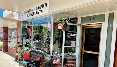 Family behind Michigan Pantry opens houseplant shop in Grand Haven