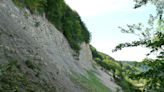 Replanting trees can help prevent devastating landslides like the one in Papua New Guinea, but it's not a silver bullet