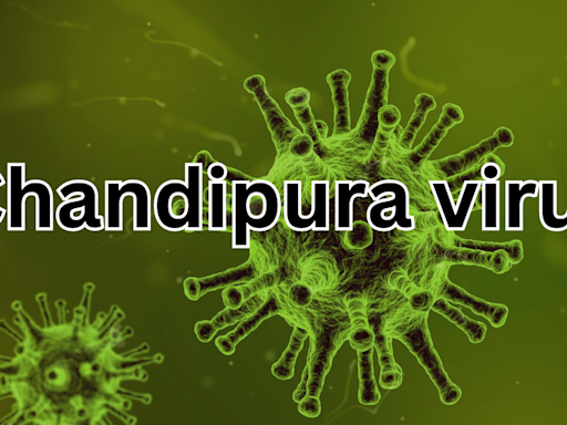 Deadly Chandipura Virus reaches Rajasthan after cases rise to 51 in Gujarat; Here's what you need to know