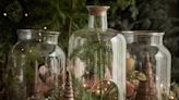 Make your own festive terrarium without spending a fortune