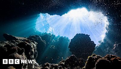 Dark oxygen made by deep sea 'batteries'