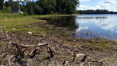 Milfoil in Willand Pond in Dover to be treated with herbicide. Some counselors dissent.