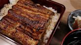 今年去日本吃鰻魚荷包將大失血 日經曝「2大原因」 - 自由財經
