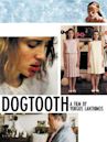 Dogtooth (film)