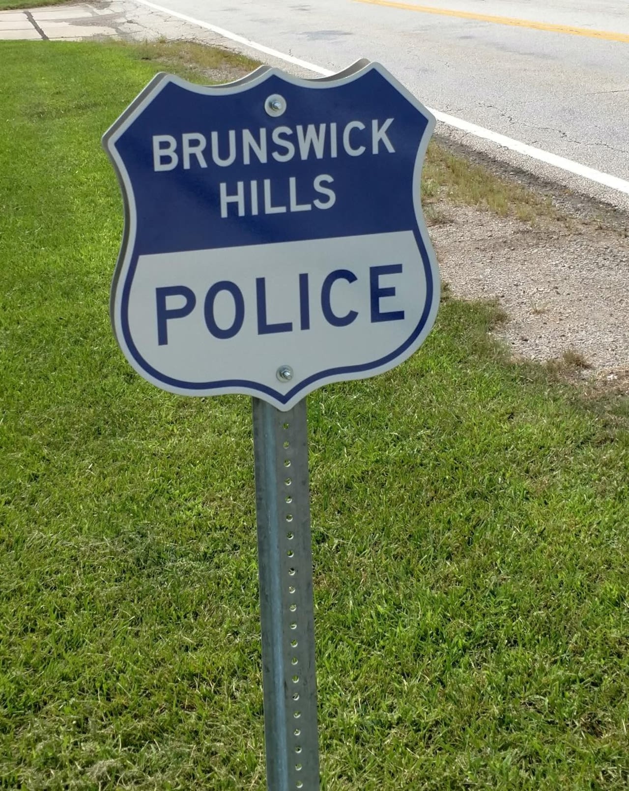 Dog raids neighbor’s chicken coop: Brunswick Hills Township Police Blotter