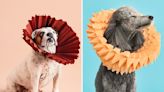 This Dog Lover's Photo Series Transforms The "Shameful" Cone Into Something "Beautiful And Majestic"