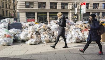 Nueva York crea un "escuadrón de élite de activistas contra las ratas"