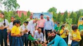 Karnal: Plantation drive organised