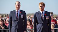 Prince William and Prince Harry Plan to Spend the 25th Anniversary of Princess Diana's Death With Their Families
