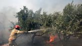 Greek holiday villages evacuated as wildfires rage during scorching Europe heatwave