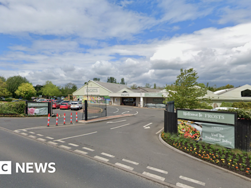 Willington woman dies after garden centre collision