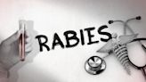 Rabies clinic coming to Henrico County this weekend