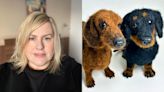 Needle felt artist brings comfort to pet owners with woollen sculptures