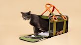 10 cat carriers experts recommend for stress-free travel